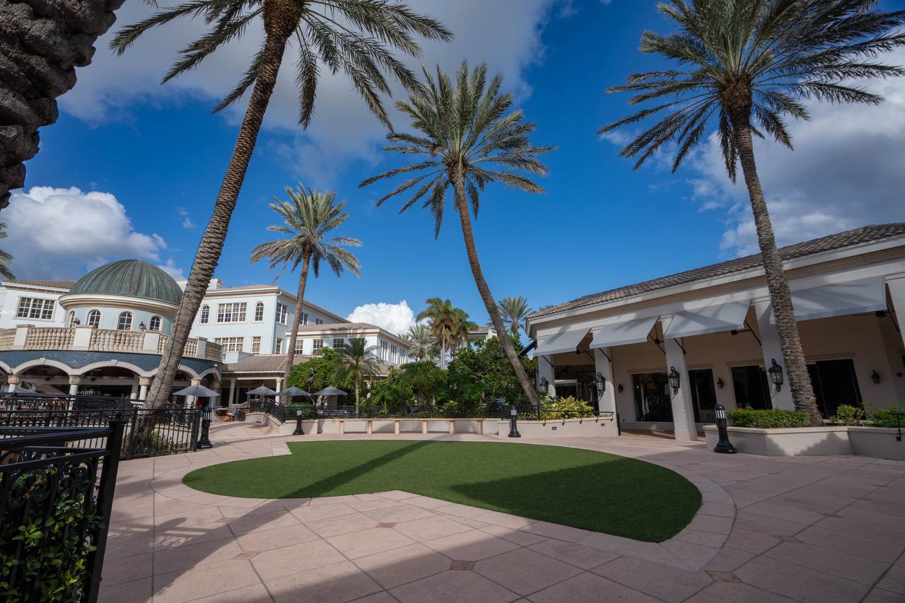 photo 2024 11 01 08 44 43